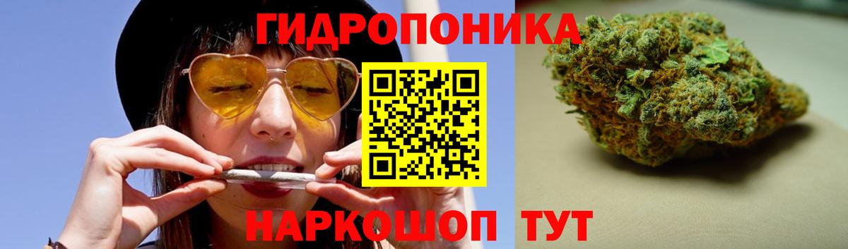 Бошки Шишки планчик Ростов Великий